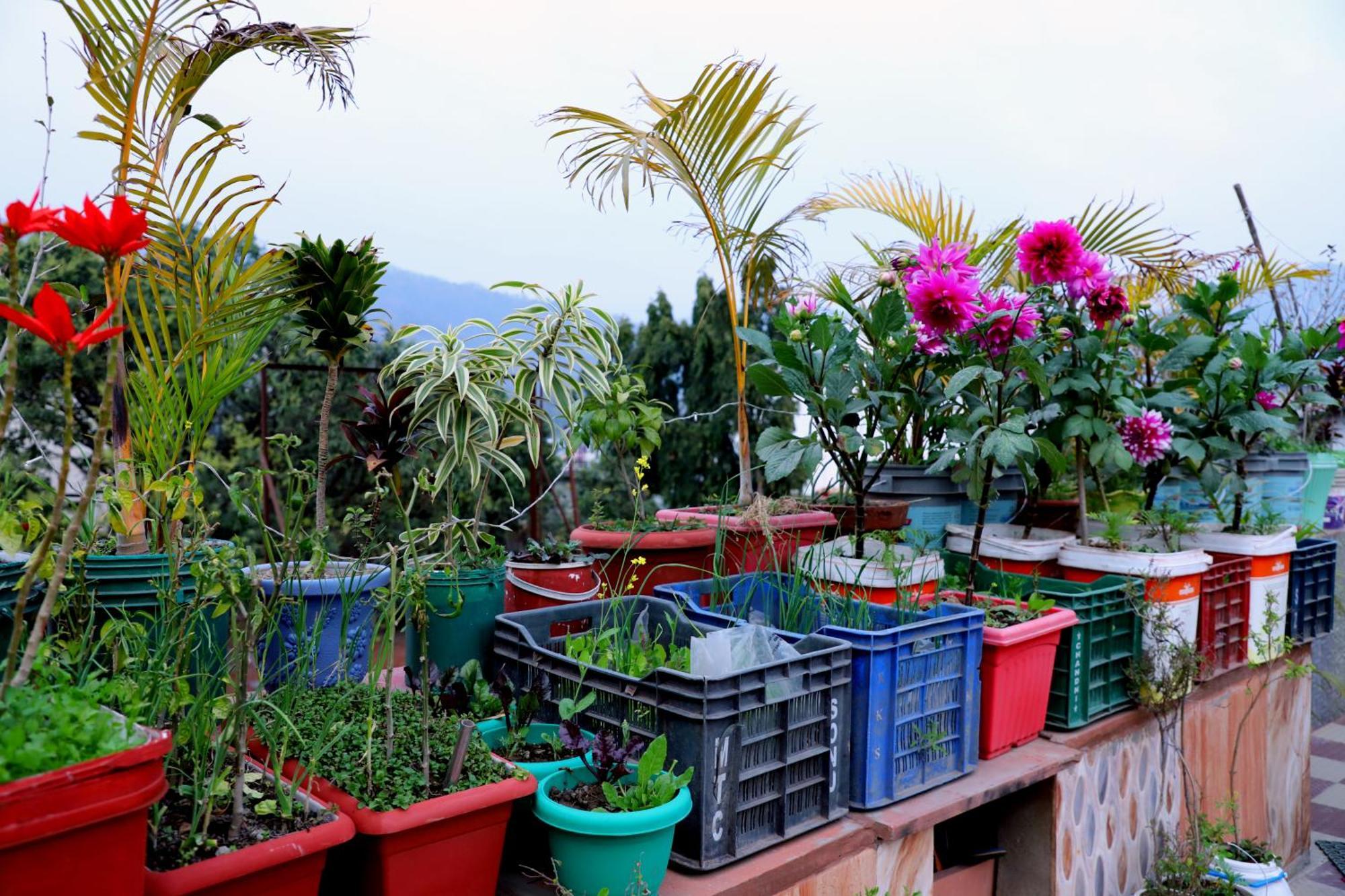 Madhuban Homestay, Natraj Chowk Rishikesh Exterior photo